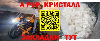 стафф Донецк