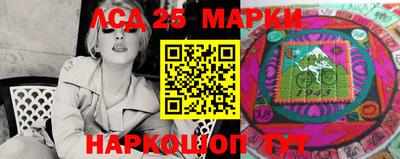 амф Донской