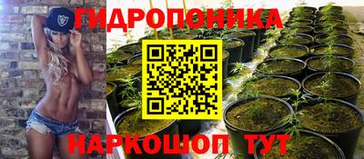 стафф Донецк