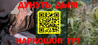 амф Донской