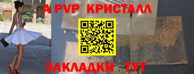 стафф Донецк