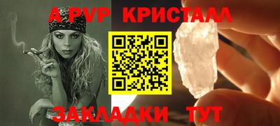 стафф Донецк