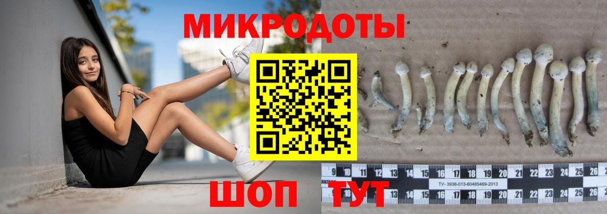 Псилоцибиновые грибы MAGIC MUSHROOMS Малгобек